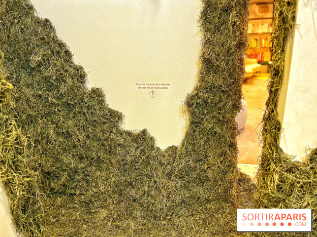 Le Chant des Forêts, l'exposition sensible et gratuite du Maif Social Club