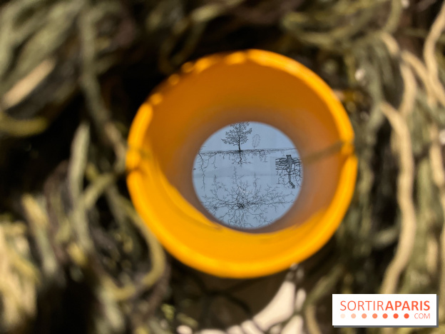 Le Chant des Forêts, l'exposition sensible et gratuite du Maif Social Club