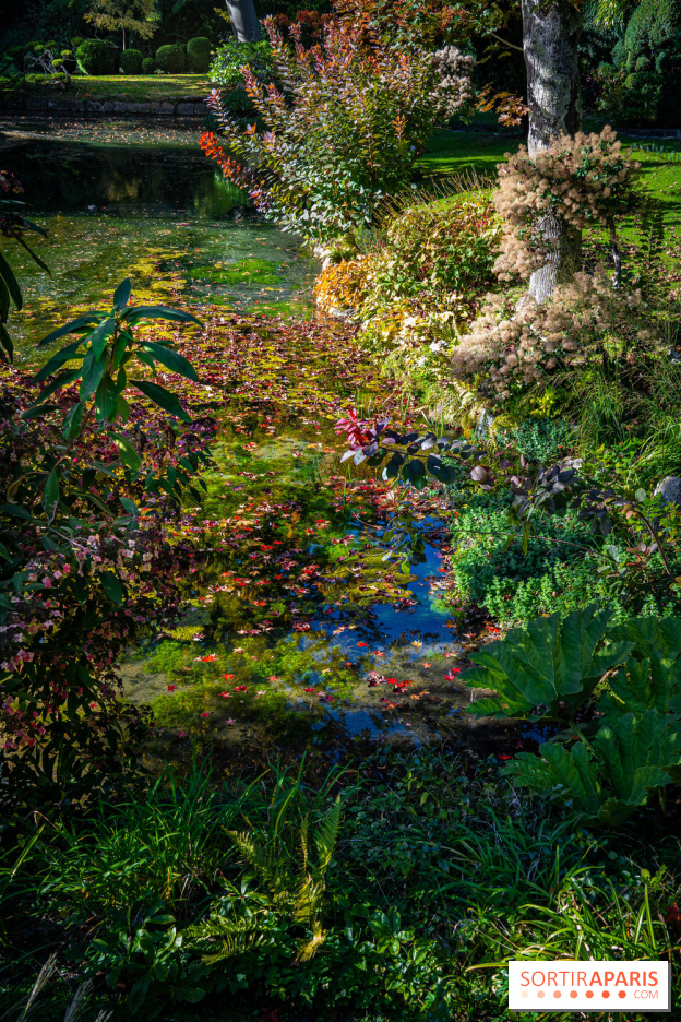 Le Jardin japonais du Château de Courances