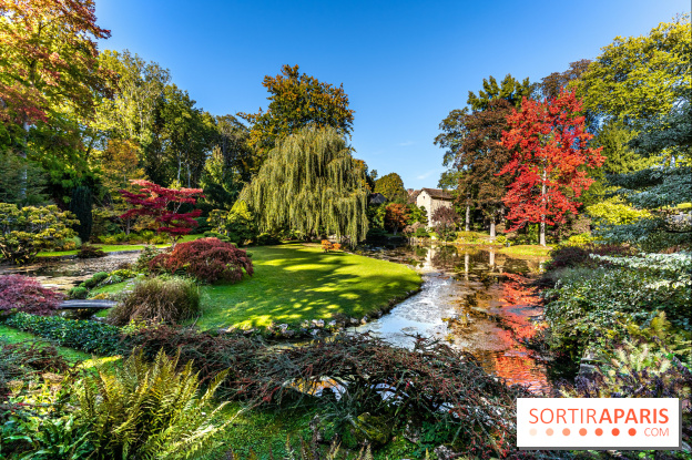 Le Jardin japonais du Château de Courances