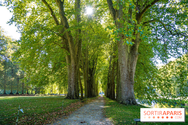 Parc et Domaine du Château de Courances