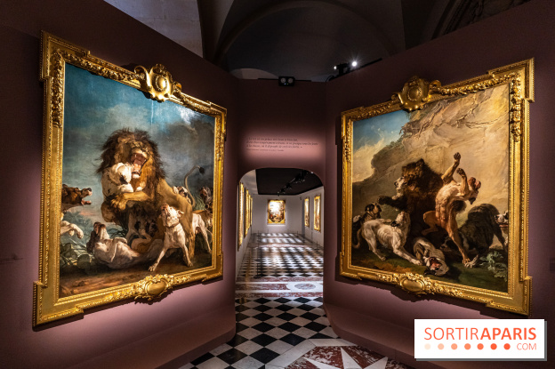Exposition Louis XV au Château de Versailles - le roi chasseur - lion d'afrique - ours de Pologne - jean Jacques bachelier