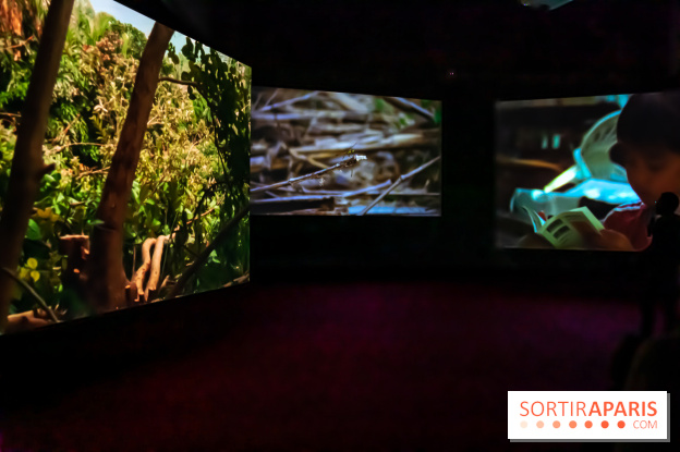 Exposition au Palais de Tokyo : Shéhérazade, la nuit - nos photos