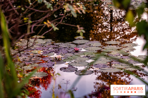 Les Jardins de la Maison Claude Monet à l'automne