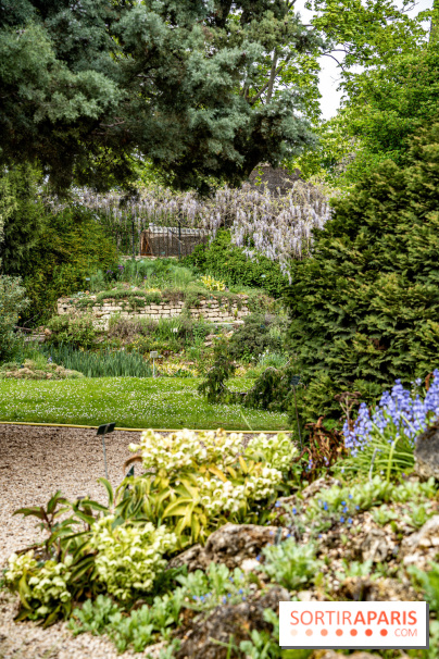 Le Jardin Alpin caché du Jardin des Plantes