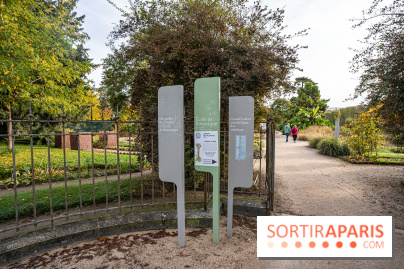 Le Jardin Alpin caché du Jardin des Plantes