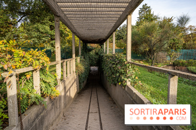 Le Jardin Alpin caché du Jardin des Plantes