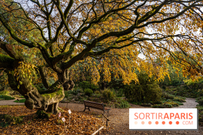 Le Jardin Alpin caché du Jardin des Plantes