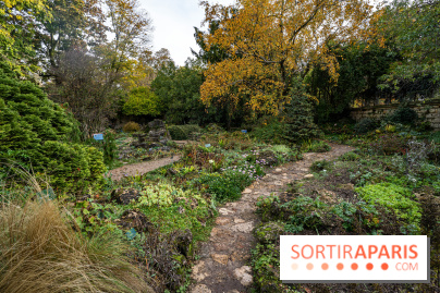 Le Jardin Alpin caché du Jardin des Plantes