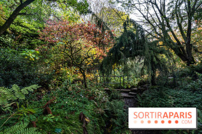 Le Jardin Alpin caché du Jardin des Plantes