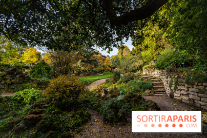 Le Jardin Alpin caché du Jardin des Plantes