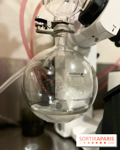 Atelier création de gin à la distillerie Baccae