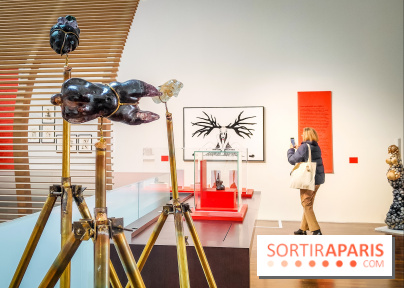 Arts et Préhistoire, l'exposition de peintures rupestres au Musée de l'Homme - nos photos