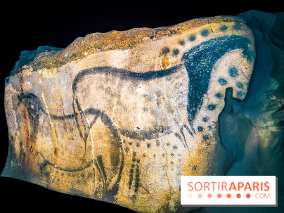 Arts et Préhistoire, l'exposition de peintures rupestres au Musée de l'Homme - nos photos