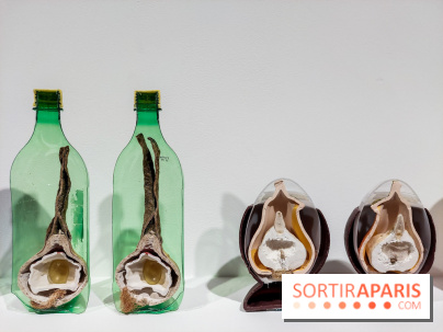 Le synthétique au cœur de l’humain, nos photos de l'expo au Centre culturel canadien