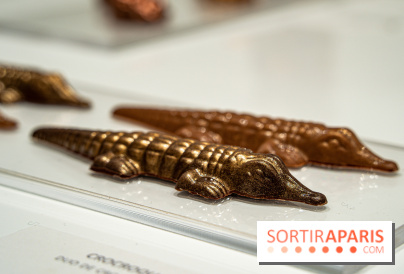 Jade Genin Chocolaterie Paris, les photos - crocodile praliné