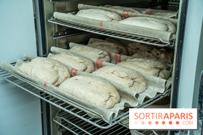 Boulangerie artisanale MieMie, levain et farines anciennes Paris 11e - levée - pain levain - fermentation longue