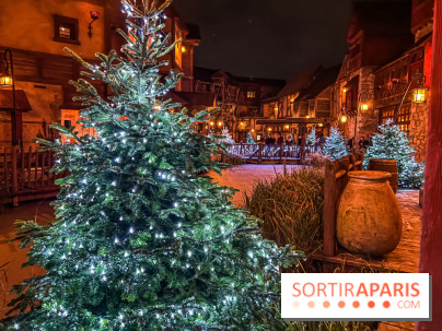 Réveillon de Noël et du Nouvel an au Parc Astérix