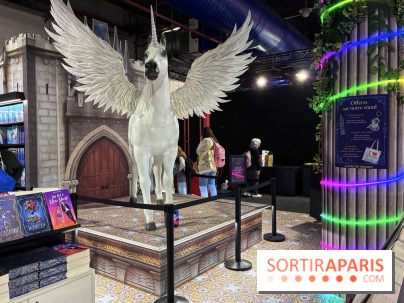 Salon du livre et de la presse jeunesse de Montreuil - IMG 1227