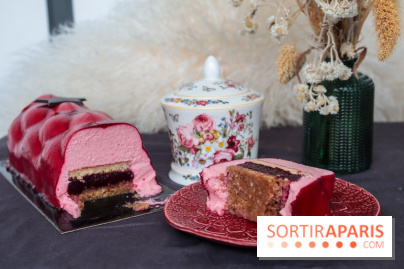 Les bûches de Noël 2022 d'oh oui!, la pâtisserie sans sucres IG bas- buche fruits rouges