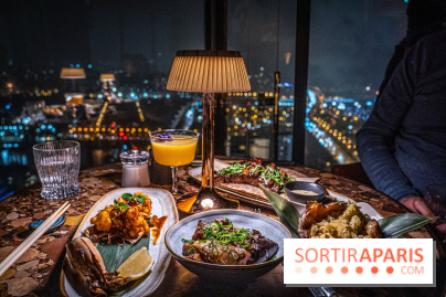 Too Restaurant - Too hôtel Paris - photos - menu - plat - vue