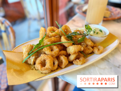 Pizzeria Agata - Calamars frits