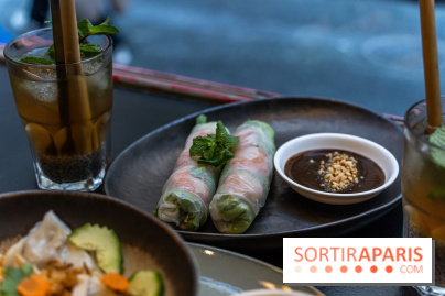 Entre 2 Rives restaurant vietnamien - houleux de printemps