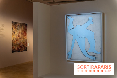 Picasso et la Préhistoire, les photos de l'exposition au Musée de l'Homme