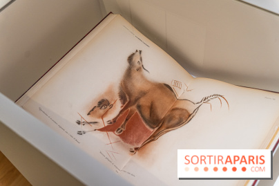 Picasso et la Préhistoire, les photos de l'exposition au Musée de l'Homme