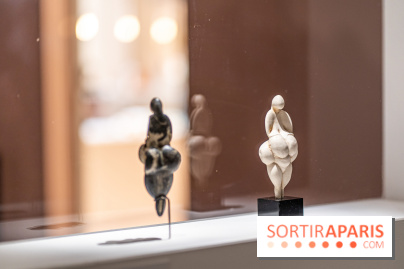 Picasso et la Préhistoire, les photos de l'exposition au Musée de l'Homme