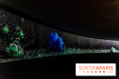 Exposition Avant l'orage à la Bourse de Commerce - Pinault Collection - urgence climatique