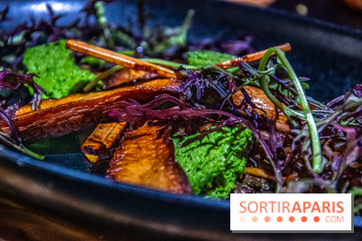 Restaurant Horizon Forbbiden West plat champignons