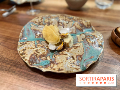 Accents Table Bourse - Bar et coques