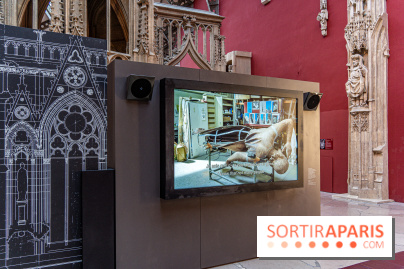Exposition Notre-Dame de Paris - des bâtisseurs aux restaurateurs - Cité de l'Architecture - A7C2855