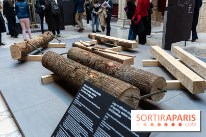 Exposition Notre-Dame de Paris - des bâtisseurs aux restaurateurs - Cité de l'Architecture - A7C2857