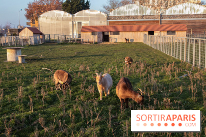 Fermes de Gally - Saint Denis - 121E8A17 ECDB 4F1B 90A8 CF8CA8E2C832