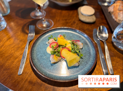 Perception - Sashimi daurade et tarama