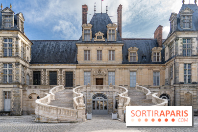 Château de Fontainebleau - Napoléon III et Eugénie -  A7C3764