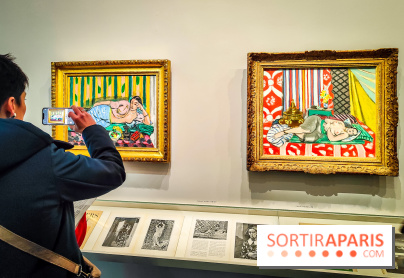 Matisse au musée de l'Orangerie : une exposition focus sur les années 1930 du peintre - nos photos - IMG20230301155211