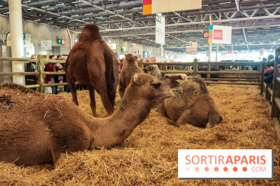 Salon de l'agriculture 2023 - 20230227185424 IMG 4021