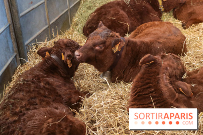 Salon de l'agriculture 2023