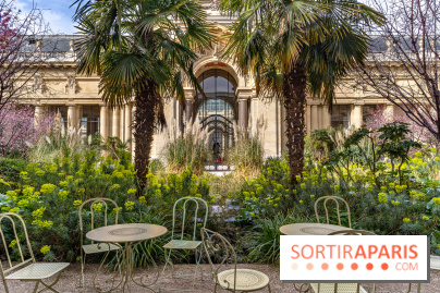 Petit Palais - Collection permanente  -  jardin