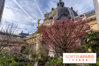 Petit Palais - Collection permanente  -  jardin