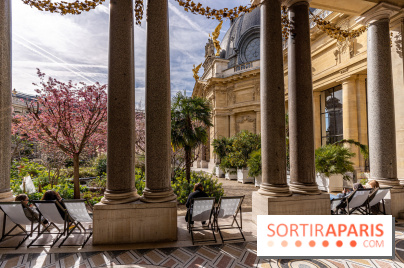 Petit Palais - Collection permanente  -  jardin