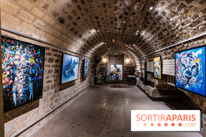 Exposition street-art Sax - Eglise de la Madeleine