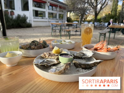 Le Chalet des Îles Daumesnil - le concept du Perchoir