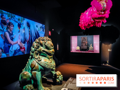 Félins, l'exposition qui nous fait craquer au Muséum national d'Histoire naturelle - photos - IMG20230321103938