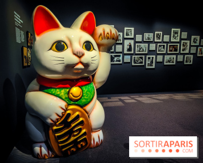 Félins, l'exposition qui nous fait craquer au Muséum national d'Histoire naturelle - photos - IMG20230321110439