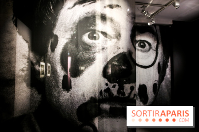 Elliott Erwitt, l'expo au Musée Maillol, nos photos - IMG 8921