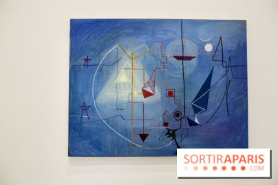 Anna-Eva Bergman, nos photos de l'expo à Paris